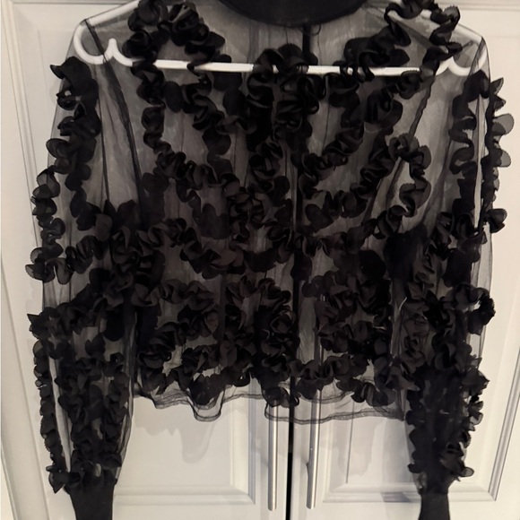 Zara Black Sheer Ruffled Blouse - Picture 4 of 4